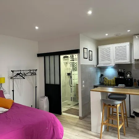 Studio Deluxe Sorbonne Lejlighed Paris